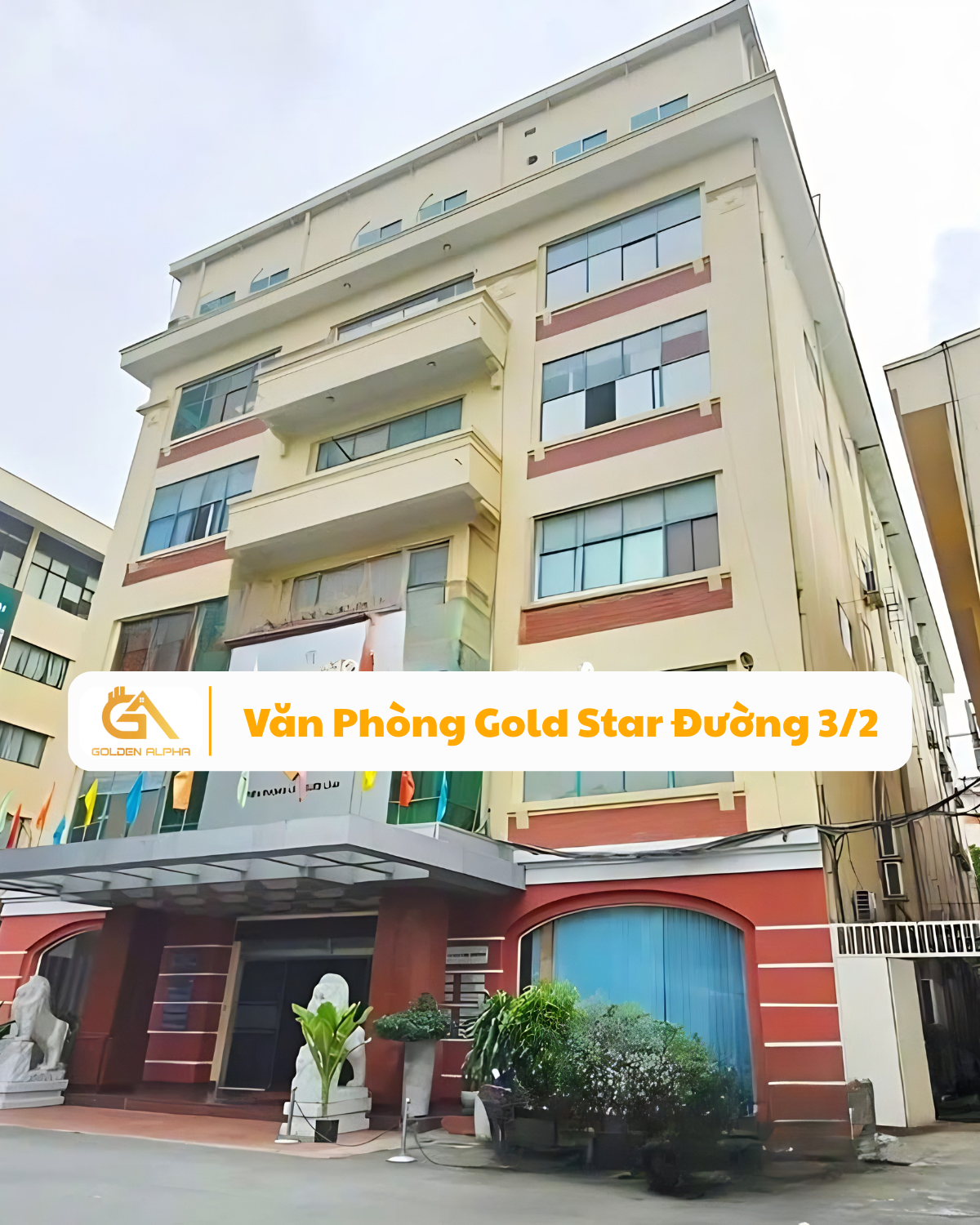 1200x1500px Gold Star duong 3-2